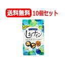 5/1限定!最大100%Pバック&全品P2倍【送料無料!】【10個セット!!】【トイメディカル】しおナイン48粒×10個