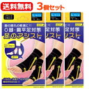 【送料無料!3個セット!】【テルコーポレーション】美脚足のアシストブラック2枚入り×3個セットLサイズ(足首まわり18〜28cm)脚のアシスト