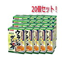 【20個セット】【山本漢方】 ウラジロガシ茶 100 5g×20包【リニューアルパッケージ！】