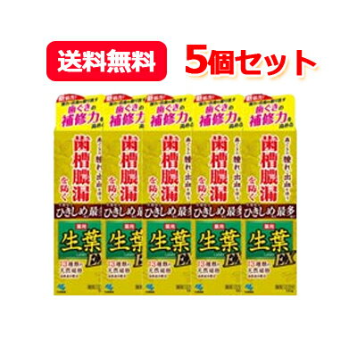 6/1限定 最大400円OFFクーポン さらに全品ポイント2倍 【送料無料 5個セット 】【小林製薬】生葉EX しょうようEX 100g 5個セット