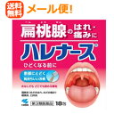 【第3類医薬品】【メール便対応!送料無料!】【大容量!】【小林製薬】ハレナース 18包