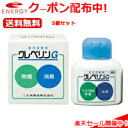 全品2％OFFクーポン！ 1/28 1:59まで！【送料無料・5個セット】クレベリンG　150g×5セット　業務用クレベリンゲル　【大幸薬品】白箱