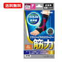 【送料無料・メール便】 テルコーポレーションスポーツギア アフォーダンスサポーター筋力 足首用 フリーサイズ 1枚入左右兼用 サポーター 高伸縮 ぴったり フィット テーピング 関節サポート 滑り止め付き足首まわり 16~26cm