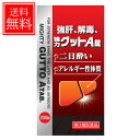 【第3類医薬品】強肝、解毒、強力グットA錠 200錠二日酔い/アレルギー性体質
