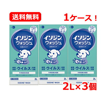 【第3類医薬品】 イソジンイソジンウォッシュ 洗浄タイプ 2L×3個セット【塩野義製薬】 手指 ウイルス 細菌 殺菌 消毒送料無料 1ケース！ 2L×3本セット