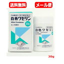 【第3類医薬品】【メール便 送料無料】小堺製薬 白色ワセリン 30g