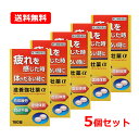 5/10限定!最大100%Pバック&全品2%OFFクーポン!【第3類医薬品】【送料無料! 5個セット!】【同成分でお買い得!】 滋養強壮薬α 160錠×5個【皇...