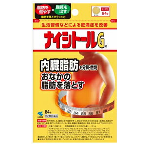 10/15限定！最大100%Pバック＆全品2％OFFクーポン!【第2類医薬品】 ナイシトールGa 84錠【小林製薬】ナイシトールGA　ナイシトールGA　内臓脂肪　防風通聖散エキス