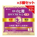 7/13〜7/15限定!全品2%OFFクーポン!【第2類医薬品】【5個セット!送料無料】【ニチバン】ロイヒ膏 ロキソプロフェン 大判 7枚×5個セット