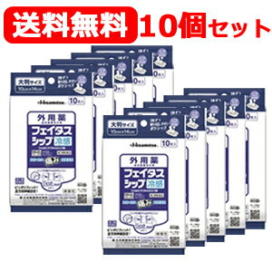 第2類医薬品 久光製薬 10個セット送料無料！ フェイタスシップ ポケシップ 10枚入り×10個セット