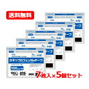 【第2類医薬品】 テイコクファルマケアロキソプロフェン Na テープフィスターLXテープ 大判 7枚入24時間持続 貼付剤 10cm×14cmメール便 送料無料...