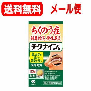 【第2類医薬品】【メール便！送料無料】【小林製薬】チクナインちくないんb112錠