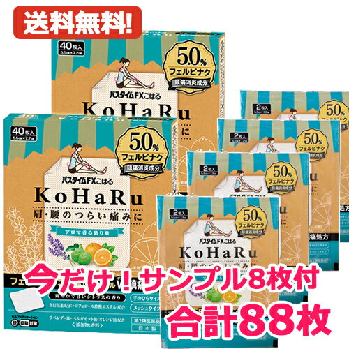 最大400円OFFクーポン！6/7 9:59まで！【第2類医薬品】今だけサンプル8枚付き【メール便！送料無料！2..