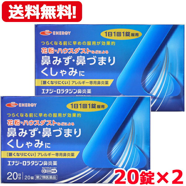 【第2類医薬品】ロラタジン鼻炎薬　20錠×2　合計40錠　4