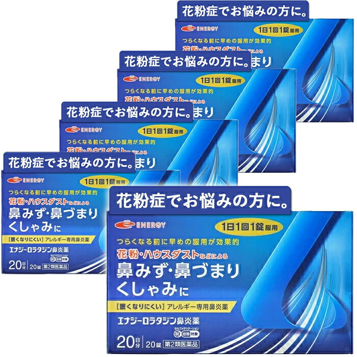 【第2類医薬品】ロラタジン エナジー鼻炎薬 20錠×5　合計100錠　100日分 1日1回 眠くなりにくい ※セルフメディケーション税制対象商品 花粉症対策 花粉対策 アレルギー専用鼻炎薬 薬 花粉症 花粉 花粉症薬 メール便 送料無料