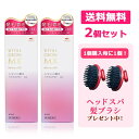 【第1類医薬品】【送料無料】 バイタルグロー MX 60ml×2個セット ミノキシジル ヘッドスパ髪ブラシ 2個プレゼント! 薄毛対策 発毛 育毛及び脱毛 抜け...