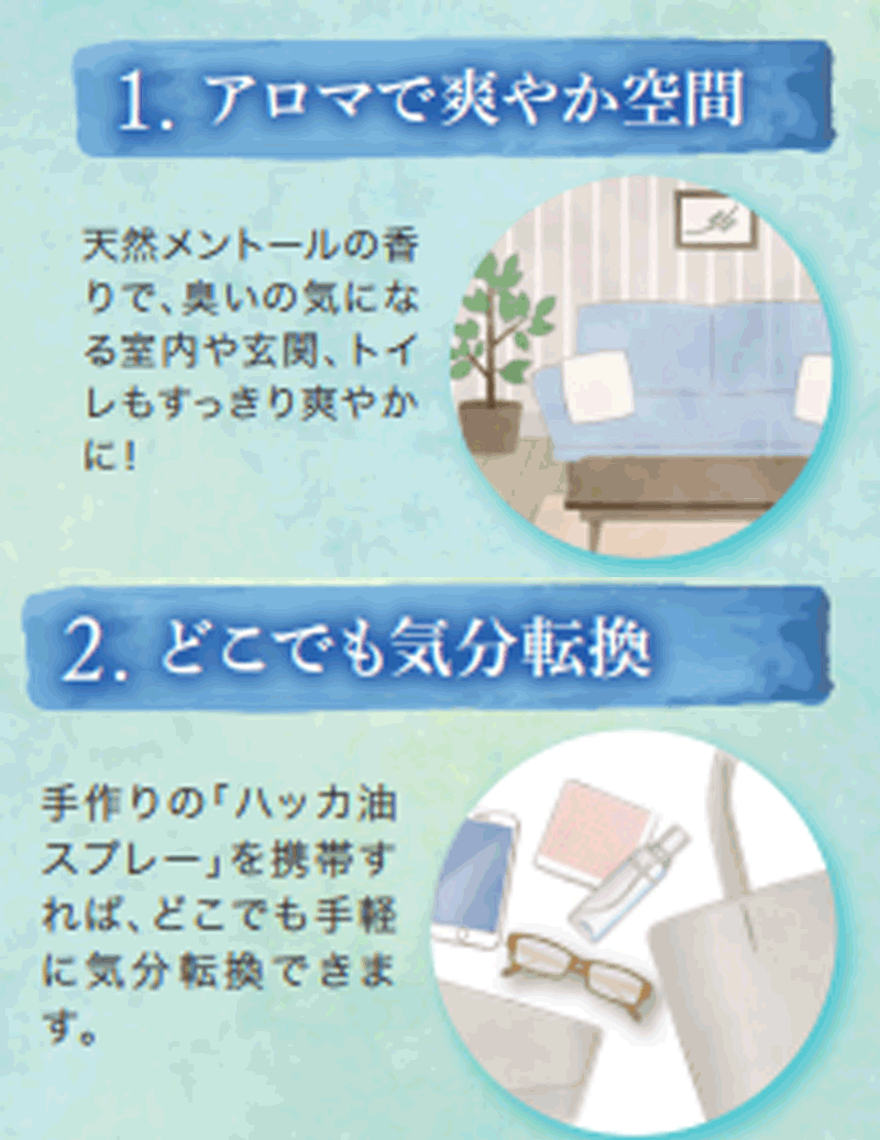 【送料無料・2個セット】ハッカ油　食添30mL ×2　　滴下式　 小堺製薬