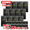 送料無料! 12個セット!【今だけ!サンプル12個付き!】 不二ラテックス SKYN コンドーム アイアールスキーン 10個入り×12個 skyn (スキン) premium SKYN10個 skyn10個 12個セット