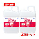 【送料無料・2個セット】【サラヤ】ハンドラボ ハンドアルコール 2.7L×2手指消毒剤 大容量タイプ 手指 皮ふの洗浄 消毒