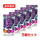 【送料無料・5個セット】【ボシュロム】ルテイン ブルーベリー&アスタキサンチン 60錠×5セット ルテイン アスタキサンチン ビタミンA 夜間の視力 皮膚や粘膜...