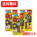 5/1限定!最大100%Pバック&全品P2倍【送料無料!3個セット!】【井藤漢方】しじみの入った牡蠣ウコン肝臓エキス 240粒