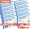 【第1類医薬品】送料無料・10個セット　SARS-CoV-2