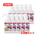 5/10限定!最大100%Pバック&全品2%OFFクーポン!【送料無料・10個セット】健栄製薬 ケンエー 手の消毒液 300ml×10セット 本体【指定医薬部外...