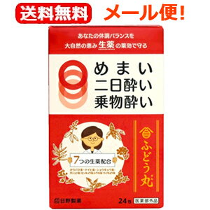 御嶽山普導丸（ふどうがん）20粒×24包　赤パッケージ