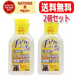 【送料無料・2個セット】【健栄製薬】手ピカジェルプラス60ml（指定医薬部外品）