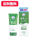 【送料無料・メール便】【ロート製薬】 メンソレータム ハンドベール リッチミルク 70g