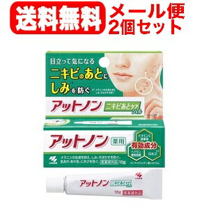 【小林製薬】【送料無料！メール便！2個セット！】アットノンニキビあとケアジェル10g×2個セット【医薬部外品】薬用ケアジェルaにきび 1