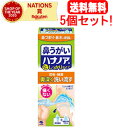 6/25限定!全品2%OFFクーポン!【送料無料!5個セット!】【小林製薬】ハナノア 洗浄器具+専用洗浄液 500ML×5