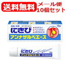 【第2類医薬品】【メール便!送料無料!10個セット!】エスエス製薬 アンナザルベ・エース 18g 塗布剤×10個セット
