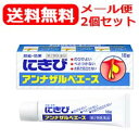 【第2類医薬品】【メール便!送料無料!2個セット!】エスエス製薬 アンナザルベ・エース 18g 塗布剤×2個セット