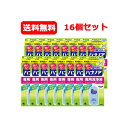 5/10限定!最大100%Pバック&全品2%OFFクーポン!【送料無料・16本セット・1ケース】【小林製薬】 痛くない鼻うがい ハナノア 【専用洗浄液】500m...