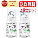 5/10限定!最大100%Pバック&全品2%OFFクーポン!【送料無料・2個セット】【健栄製薬】ケンエー のどスッキリうがい薬CPミント味 300ml×2個セッ...