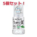【5個セット】【健栄製薬】ケンエー のどスッキリうがい薬CPミント味 300ml×5個セット【医薬部外品】のどの殺菌消毒洗浄口臭の除去