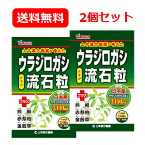 メール便 送料無料 2個セット ウラジロガシ　流石粒（さすが粒）240粒×2セットうらじろがし 2個セット