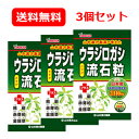 5/10限定！最大100％Pバック＆最大1,000円OFFクーポン＆全品2％OFFクーポンメール便 送料無料 3個セット ウラジロガシ流石粒（さすが粒）240粒×3個うらじろがし 3個セット