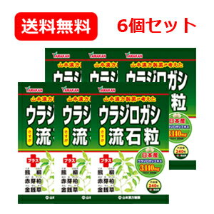 メール便 送料無料 6個セットウラジロガシ　流石粒（さすが粒）240粒×6個うらじろがし 6個セット