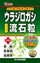 4/25限定！最大1,000円OFFクーポン！＆全品2％OFFクーポン！ウラジロガシ　流石粒（さすが粒）240粒うらじろがし