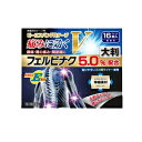 【第2類医薬品】【訳あり 期限2025年11月】 【大石膏盛堂】ビーエスバンFRテープα 大判16枚入り