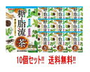 【送料無料 】【10個セット 】山本漢方 糖＆脂流茶 8g×24包×10個