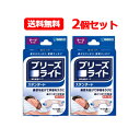5/1限定!最大100%Pバック&全品P2倍佐藤製薬 メール便!送料無料!2個セット ブリーズライトスタンダード ベージュ色 ラージ 10枚入り×2個