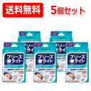 5/1限定!最大100%Pバック&全品P2倍【送料無料!5個セット!】【佐藤製薬】 ブリーズライト クール ラージ 10枚