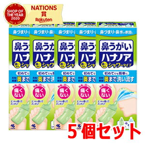 【小林製薬】【送料無料！5個セット】鼻うがいハナノアbシャワータイプ500mL