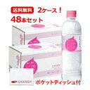 【送料無料・2ケース!48本セット】 オンガネジャパン九州天然水 シリカシリカ 500ml×48本入+ENERGYポケットティッシュ付シリカ水 ミネラルウォータ...