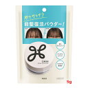 最大400円OFFクーポン!5/7 9:59まで【花王 】リーゼ サラサラ前髪復活パウダー 5gKAO ベタついた前髪 長時間 サラサラ皮脂吸着 ギシギシしない 無香料 簡単セット