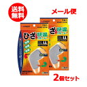 【送料無料・メール便】 新生 快温サポーターひざ LL 2個セット 左右共通 男女兼用ズレ下がり防止加工 S-concept