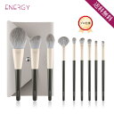 母の日 プレゼント 20%OFFセール中★送料無料 ★ENERGYメイクブラシ9本セットー芳華シリーズ 化粧ブラシ ブラック 化粧筆 メイクブラシセット メイク...